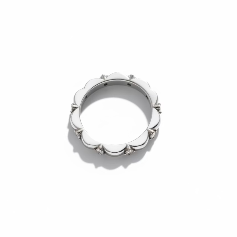 Scallop Band