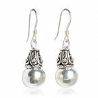 Dome Drop Hook Earrings